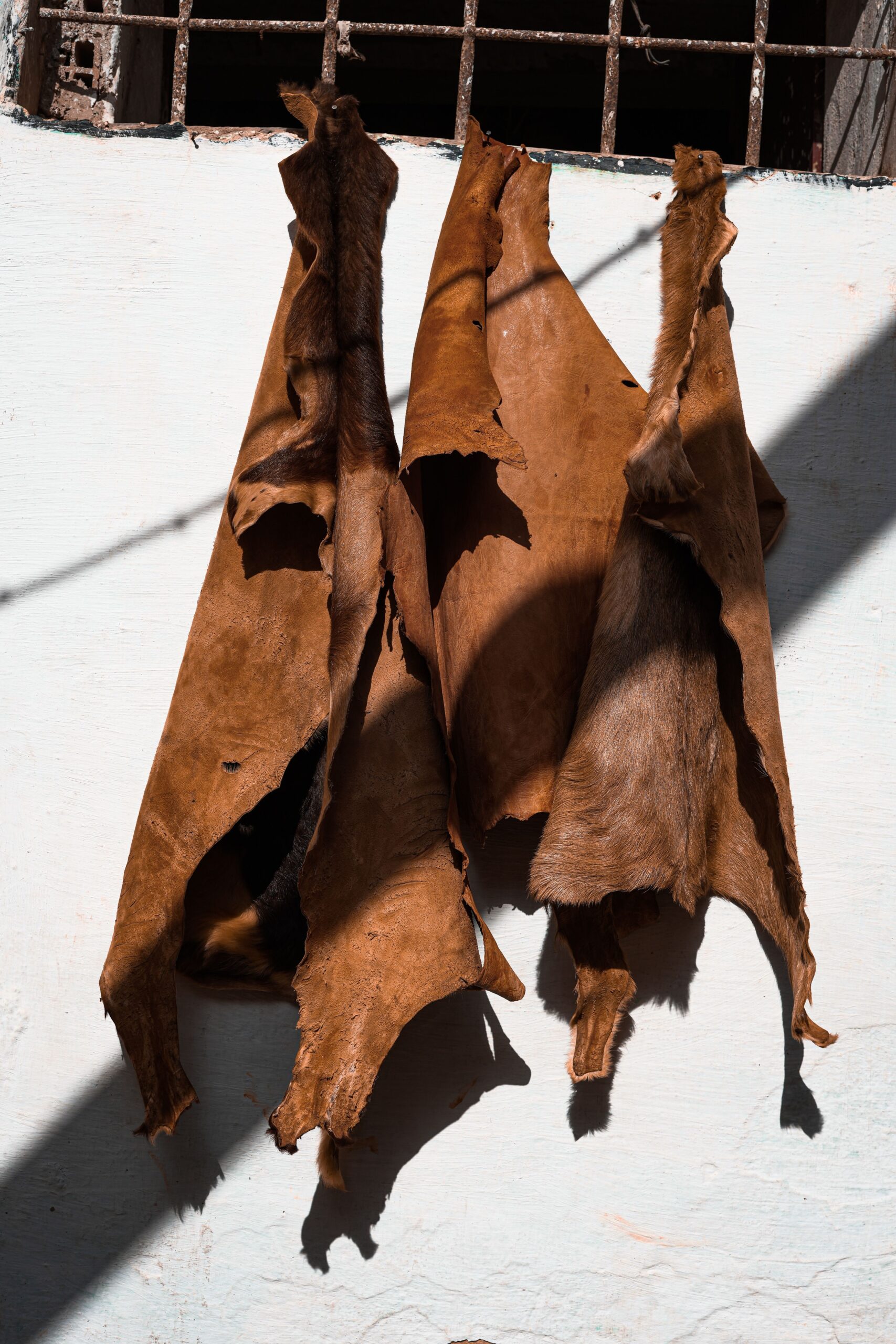 Accueil peaux de cuir marron suspendues pour le séchage au soleil,